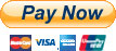 pay_now_icon