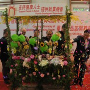 1990年代中期，职业及复康再培训中心成立