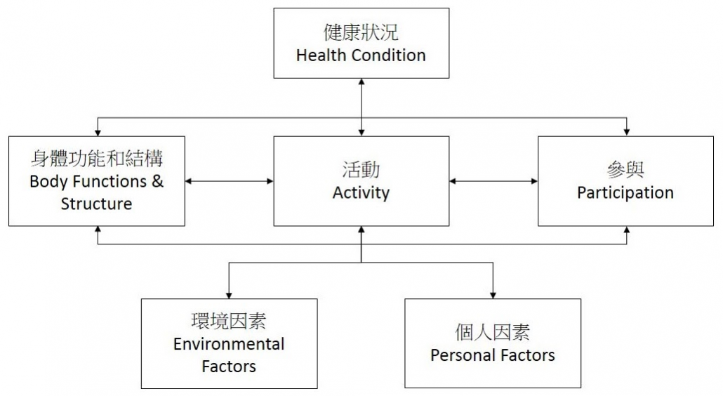 International Classification of Functioning, Disability and Health International Classification of Functioning, Disability and Health